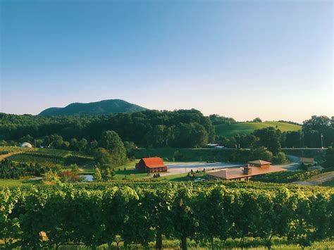 Linville winery. Things To Know About Linville winery. 